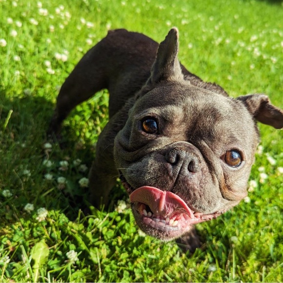 Meet Your Posher! - Picture 2 of 4